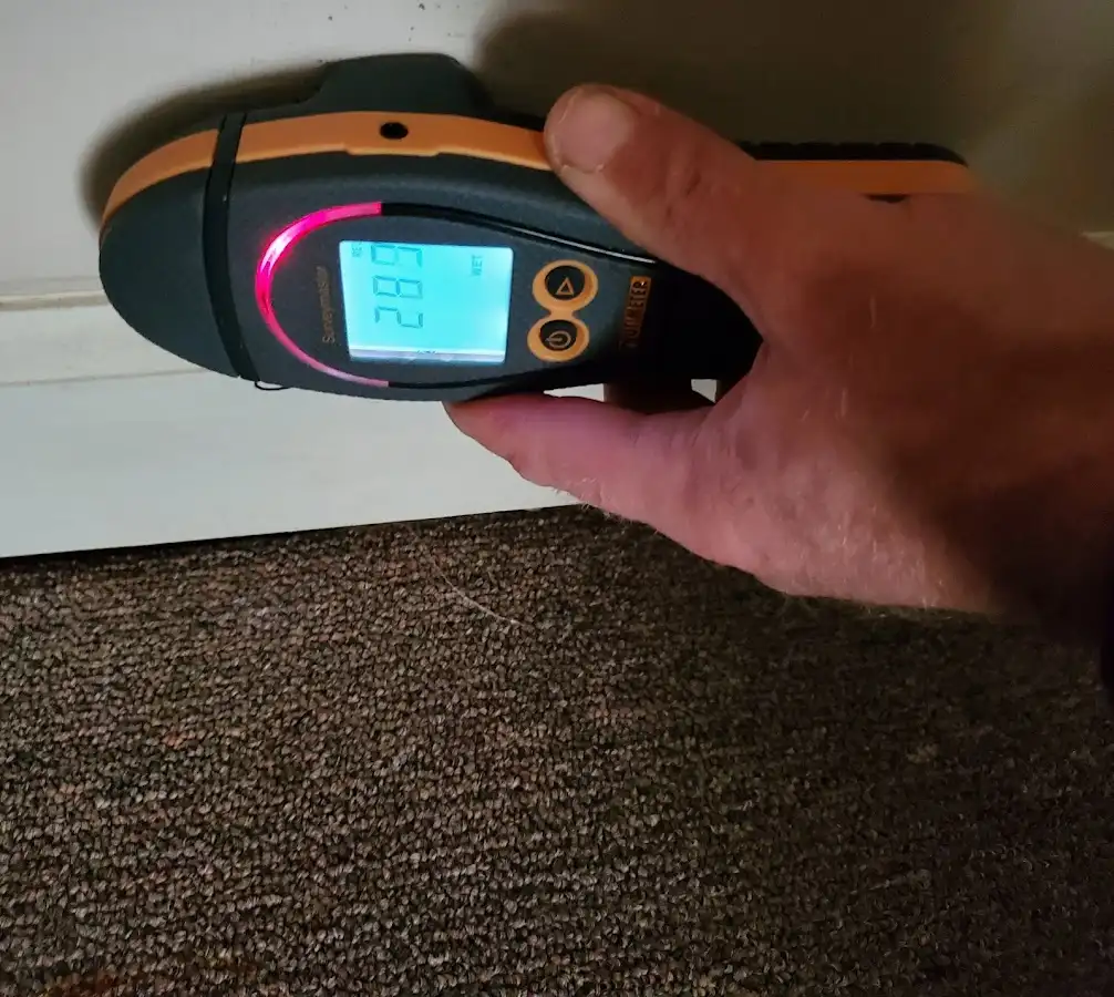 Moisture detection at baseboard during Mold Inspection & Testing in Paradise